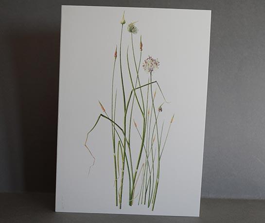 Greeting card