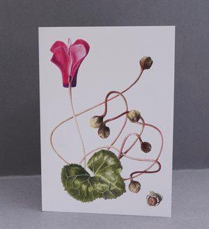 Greeting card