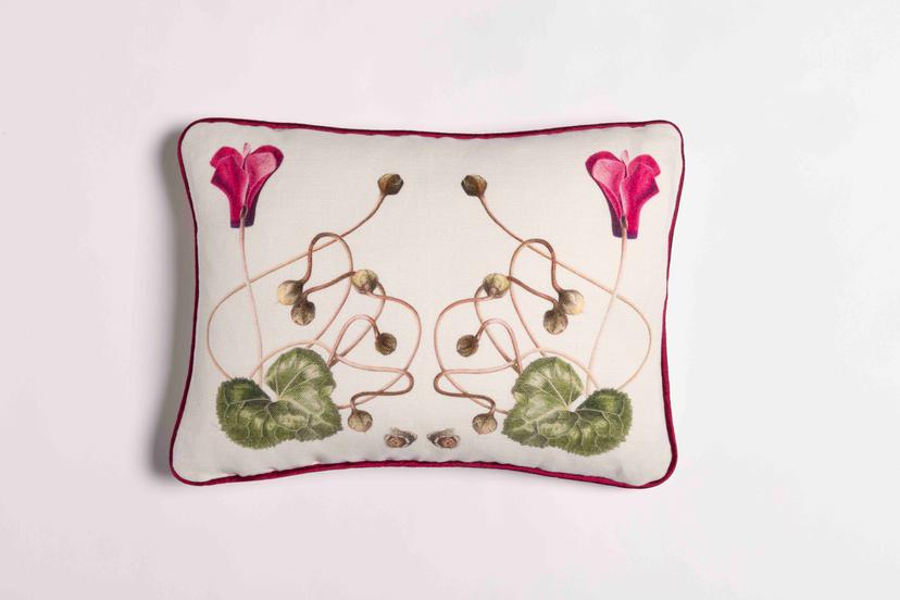Cyclamen