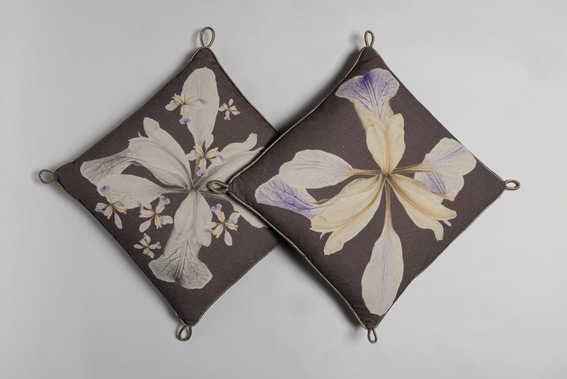 Iris 3