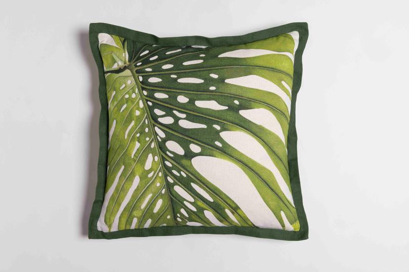 Monstera Deliciosa